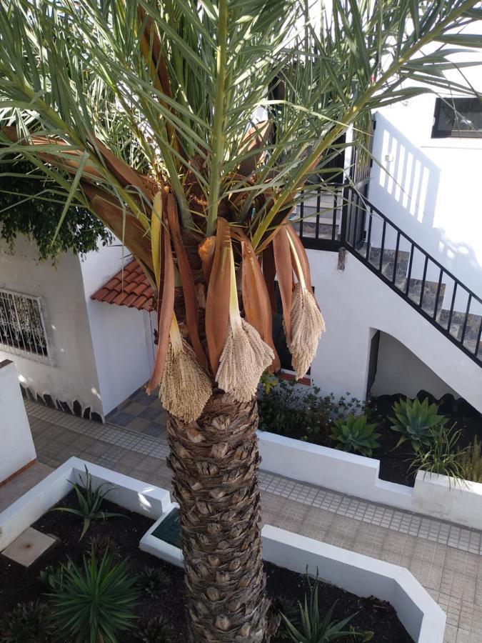 Ama Tenerife Grande Terraza