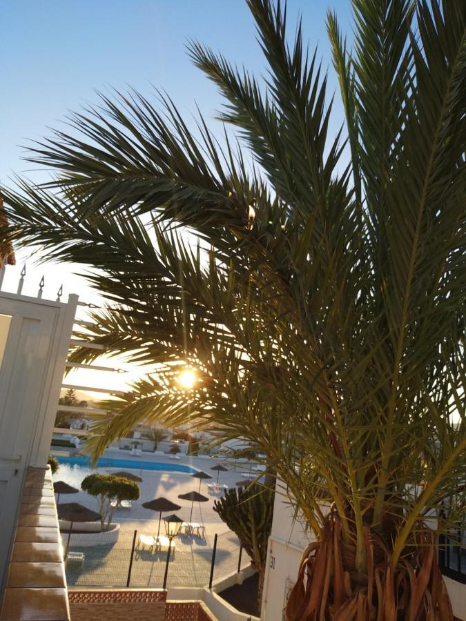 Apartament Ama Tenerife Grande Terraza