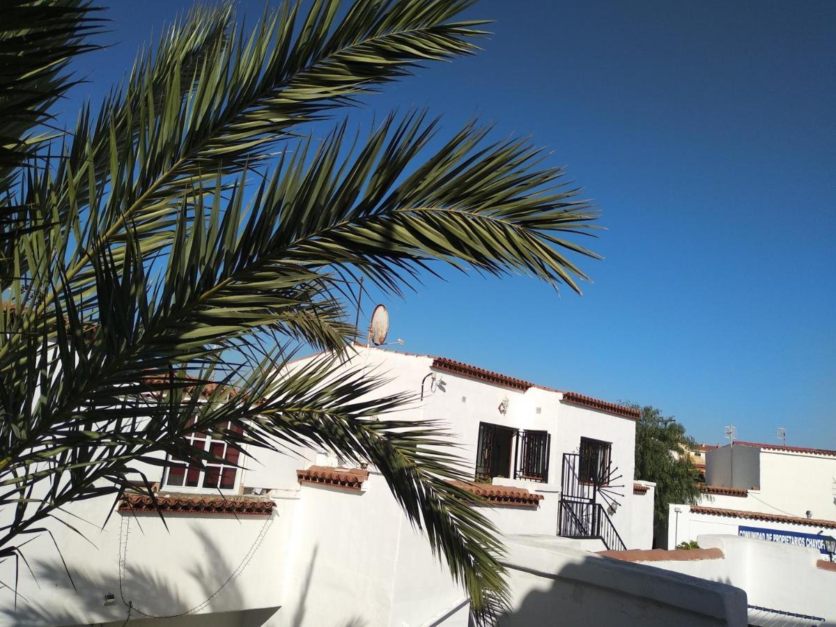 Apartament Ama Tenerife Grande Terraza