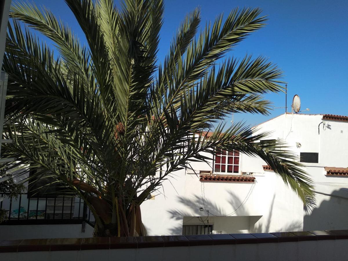 Ama Tenerife Grande Terraza